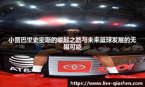 球神体育